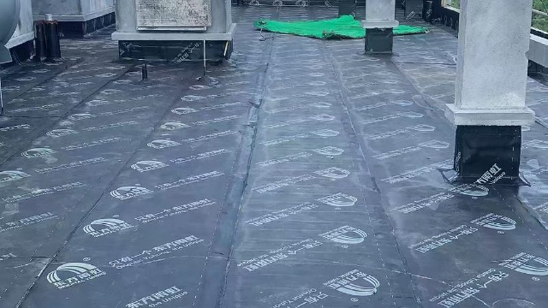 揭秘地下室防水涂料：品牌排名背后的技术考量