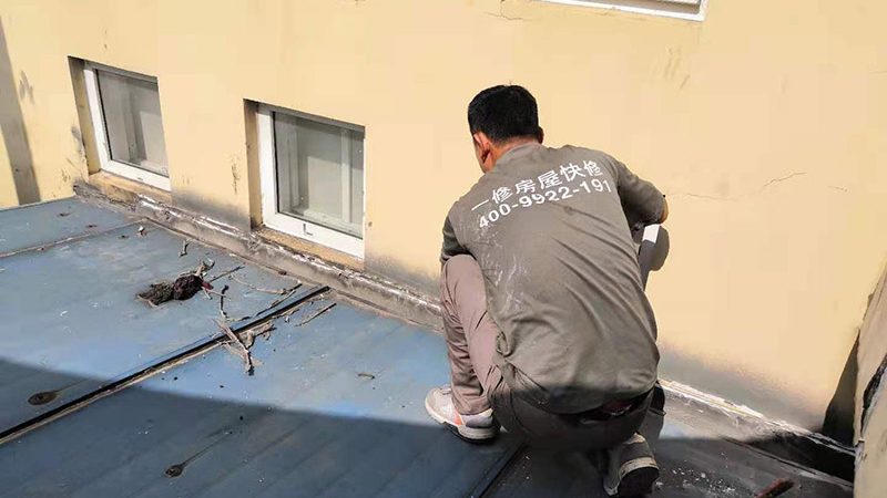水性聚氨酯防水涂料与油性涂料：一场耐久与环保的较量