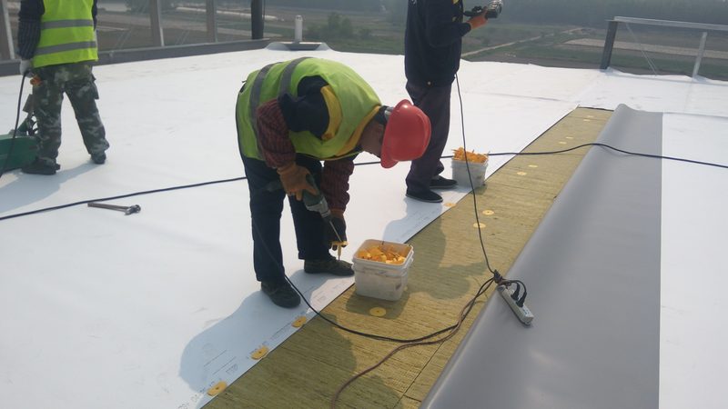 地下室防水效果：实测对比揭示真谛**